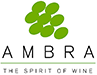 logo Ambra